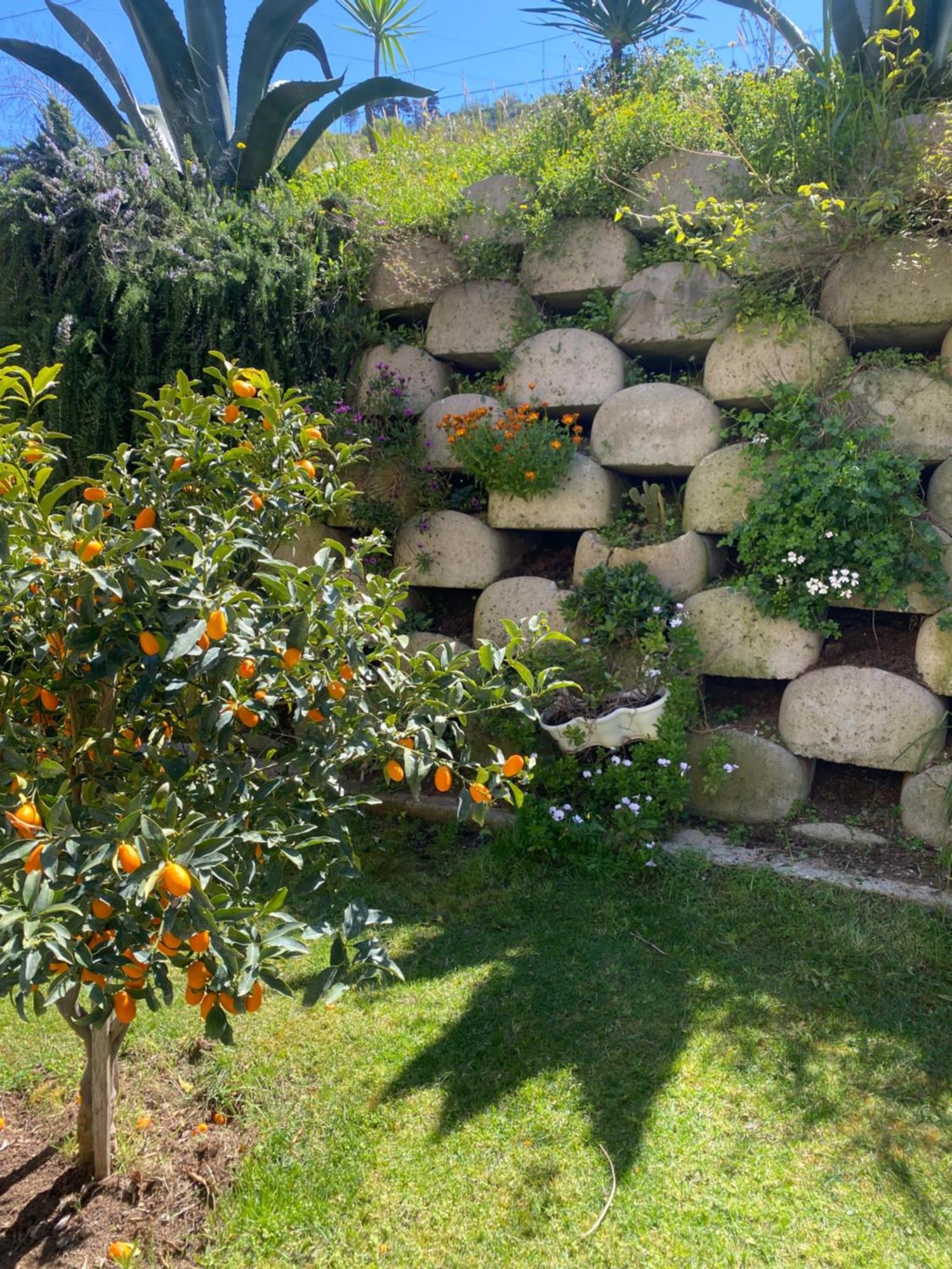 Residenza Roma Bed and Breakfast Tropea Εξωτερικό φωτογραφία